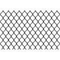 PVC Coated Chain Link Fence in High Quality